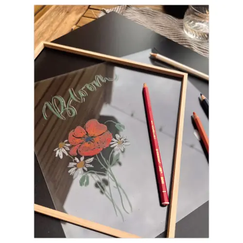 12 Crayons effa&ccedil;ables &agrave; sec All - Blanc - STABILO photo du produit