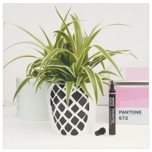 Marqueur permanent N50 pointe ogive - Noir - PENTEL photo du produit