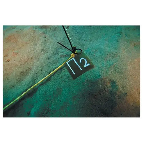 Craie permanente industrielle 950 - Blanc - Edding photo du produit