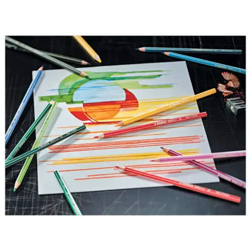 12 Crayons de couleur GREENcolors - Bois FSC® - Couleurs assorties - Stabilo photo du produit