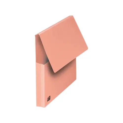 10 Chemises pochettes colorées épaisses Fast - Rose photo du produit