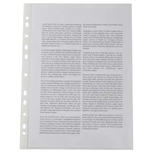 100 pochettes perforées A4 Raja, grainées, 9/100e, polypropylène,  transparentes - Pochettes perforées