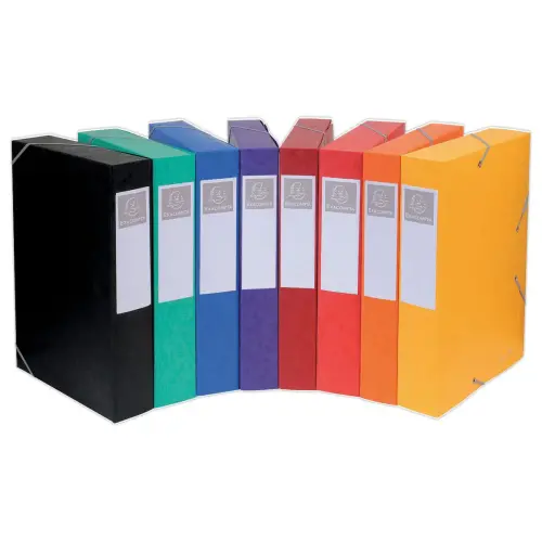 10 Boîtes de classement Cartobox - Dos 4 cm - Exacompta photo du produit