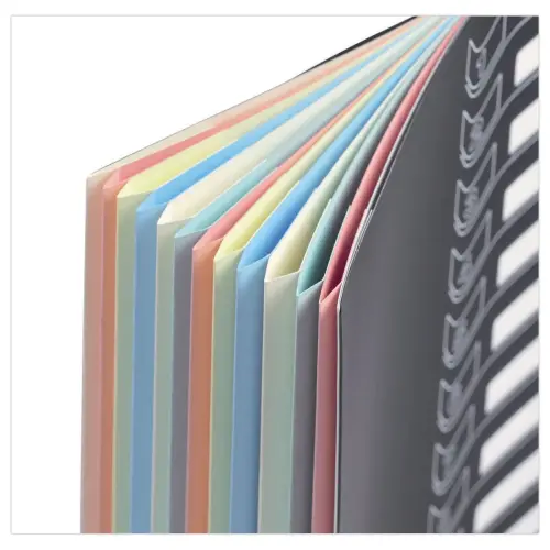 Trieur chemise bi-matière - 12 compartiments - Extendos photo du produit