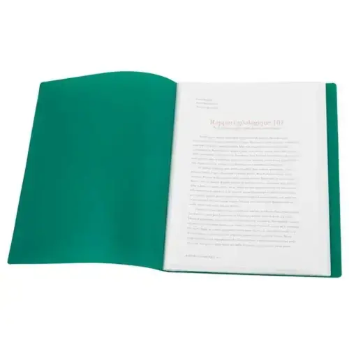 Protège-documents A4 - Vert - 40 pochettes photo du produit