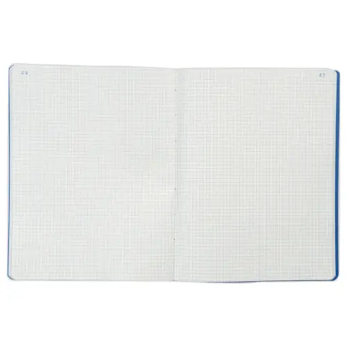 Piq&ucirc;re comptable format - 25 x 32 cm - 5x5 - Exacompta photo du produit