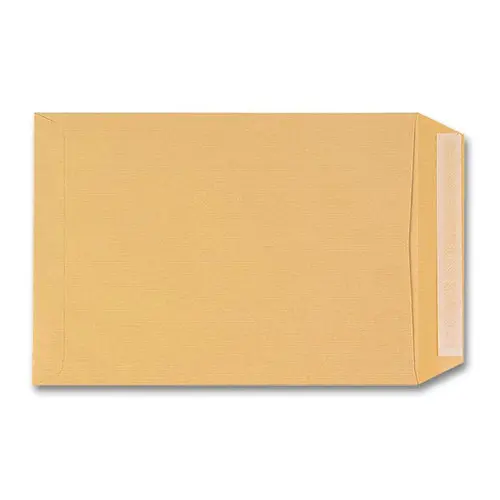 250 Pochettes kraft brun - 90 g - 250 x 352 mm - GPV EVERYDAY photo du produit