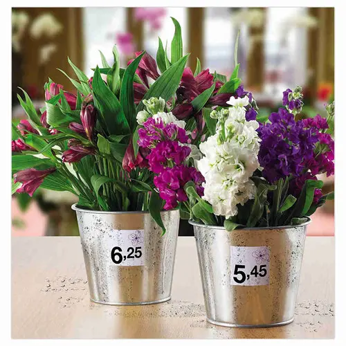 Bo&icirc;te de 20 &eacute;tiquettes inalt&eacute;rables laser -  210x297mm - Blanc - Avery photo du produit