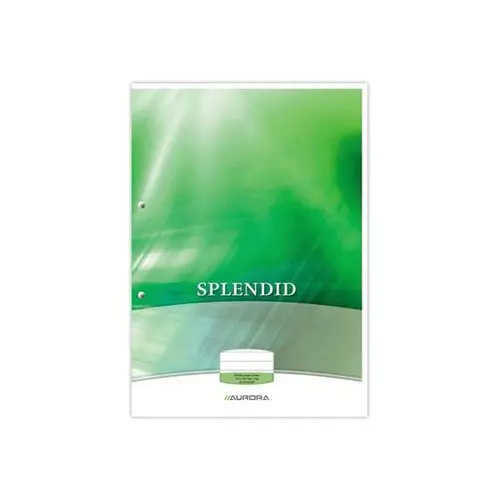 Bloc de cours, 70g, 100 feuilles A4 lign&eacute; perfor&eacute; 2 trous photo du produit