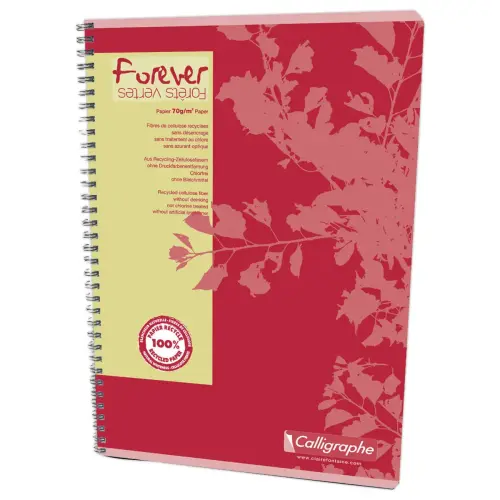 Cahier A4 recycl&eacute; "Forever"  - 5x5 - 70g - Calligraphe photo du produit