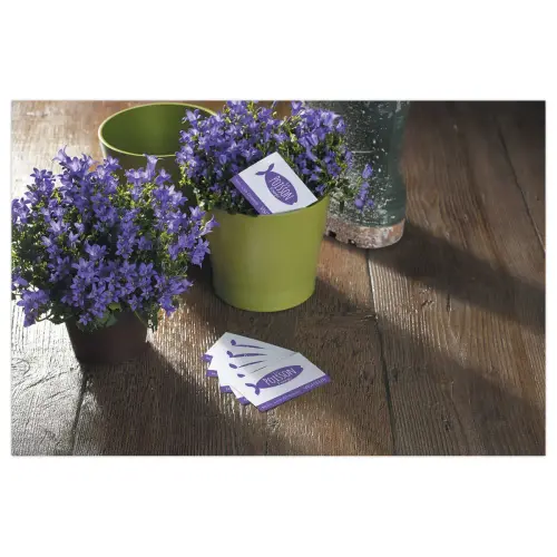 Boîte de 250 cartes de visite personnalisables pour impression laser - 86x54mm - 220g - Avery photo du produit