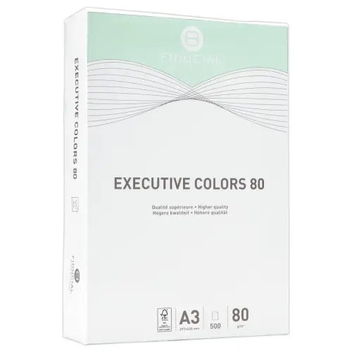 Ramette de 500 feuilles papier - A3 - Vert pastel photo du produit