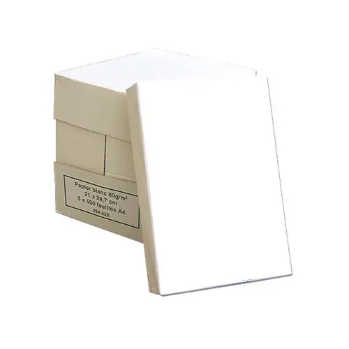 Carton de 5 ramettes/2 500 feuilles papier blanc A4 80g/m²