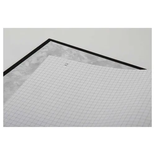 Registre foliot&eacute; 200 pages - Le Dauphin photo du produit