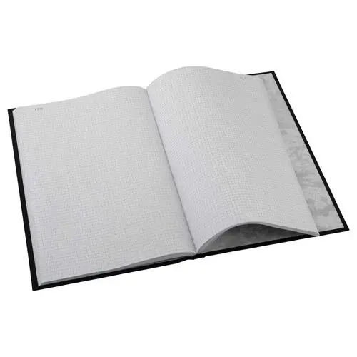 Registre foliot&eacute; 200 pages - Le Dauphin photo du produit