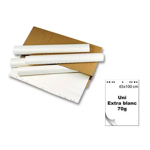 5 Recharges pour chevalet de conférence - 70g uni extra blanc- EXACOMPTA photo du produit