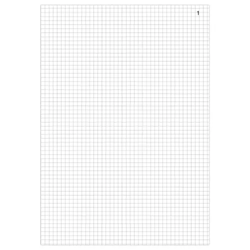 Registre folioté ELVE - 5x5 - Format 23 x 18 cm - 200 pages photo du produit