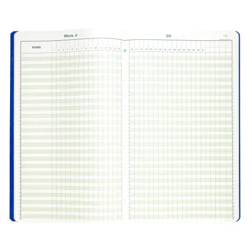 Piqûre 40 x 24 cm - Pointage 46 lignes 80 pages - Exacompta photo du produit