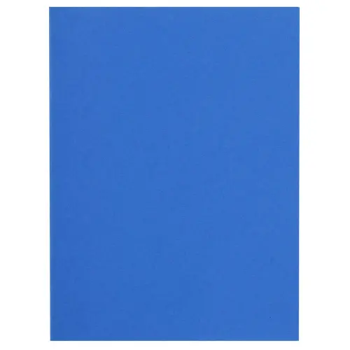 Paquet de 100 sous-chemises FLASH 80 100% recycl&eacute; - 22x31cm - Bleu fonc&eacute; - EXACOMPTA photo du produit