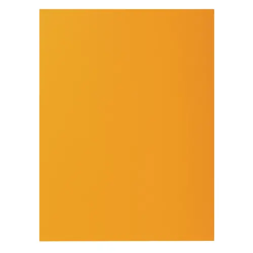 Paquet de 100 sous-chemises ROCK''S 80 - 22x31cm - Ocre - EXACOMPTA photo du produit