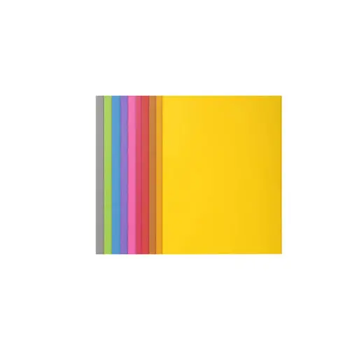 Paquet de 10 chemises ROCK''S 210 - 24x32cm - Couleurs assorties - EXACOMPTA photo du produit