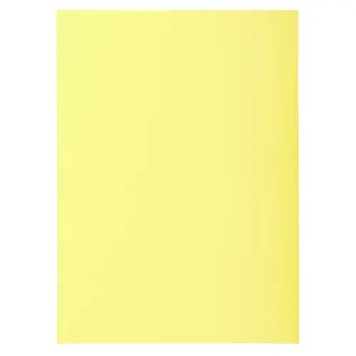 Paquet de 100 sous-chemises SUPER 60 - 22x31cm - Canari - EXACOMPTA photo du produit