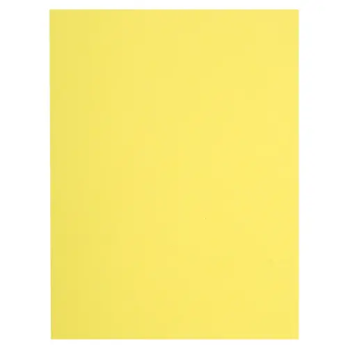 Paquet de 100 chemises FLASH 220 100% recyclé - 24x32cm - Canari - EXACOMPTA photo du produit