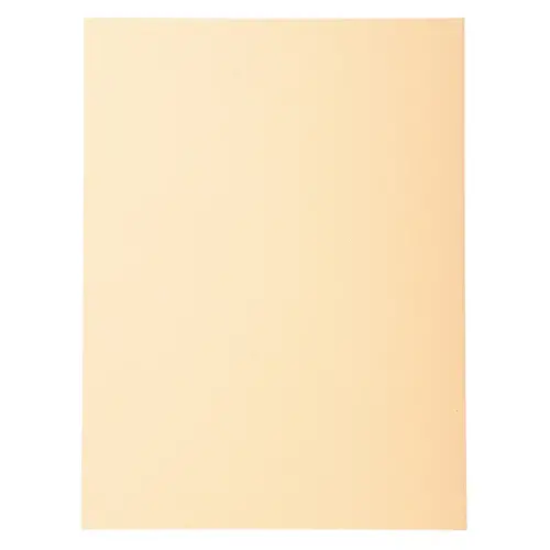 Paquet de 100 chemises Forever&reg; 220 100% recycl&eacute; - 24x32cm - Bulle - EXACOMPTA photo du produit