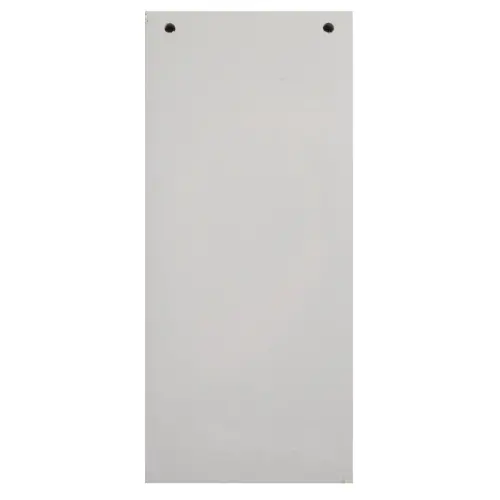 Paquet 100 fiches intercalaires horizontales unies perfor&eacute;es Forever - 105x240mm - Gris - EXACOMPTA photo du produit
