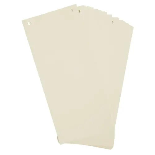 Paquet 100 fiches intercalaires horizontales unies perfor&eacute;es - 105x240mm - Bulle - EXACOMPTA photo du produit
