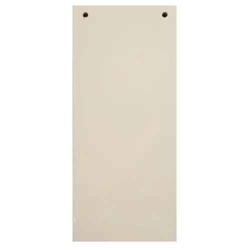 Paquet 100 fiches intercalaires horizontales unies perfor&eacute;es Forever - 105x240mm - Bulle - EXACOMPTA photo du produit