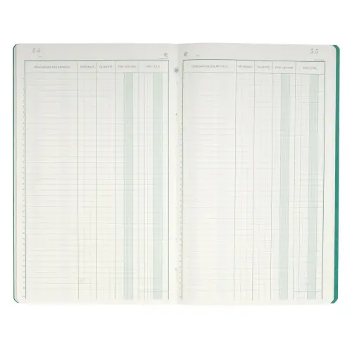 Piq&ucirc;re 32x19,5cm Livre d'Inventaire 38 lignes 80 pages - EXACOMPTA photo du produit
