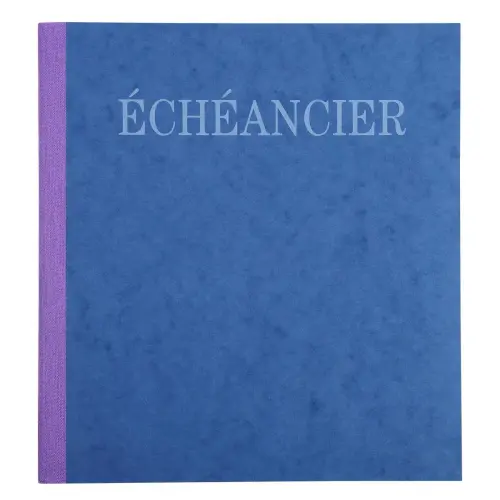 Piqûre 21x19cm échéancier tracé journal 80 pages - EXACOMPTA photo du produit