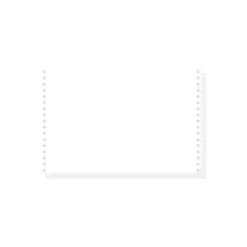 1000 feuilles de listing autocopiantes blanc 330x8 1/2" 2plis Bandes Caroll Détachables - Blanc - EXACOMPTA photo du produit