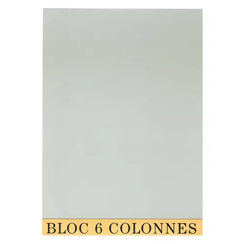 Bloc de contrôle comptable 29,7x21cm - 6 colonnes - 70 feuillets - Gris - EXACOMPTA photo du produit
