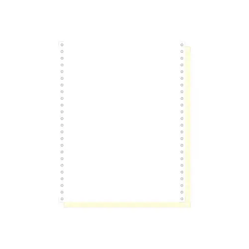 1000 feuilles de listing autocopiantes blanc/jaune 240x12" 2plis Bandes Caroll Détachables - Blanc - EXACOMPTA photo du produit
