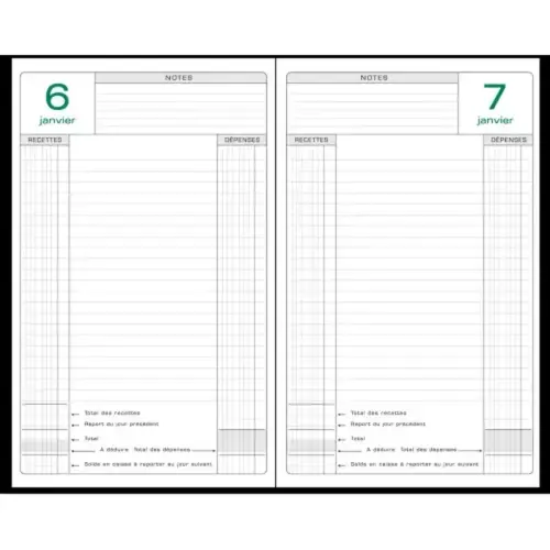 Agenda bureau 14.8 x 21 perpétuel caisse coul - Exacompta photo du produit