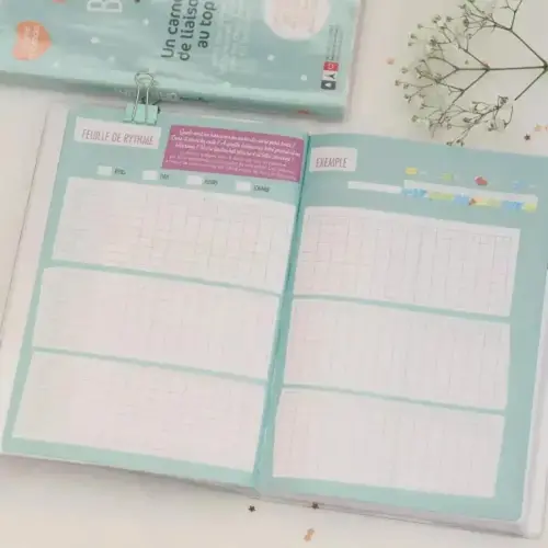 Agenda journalier 15 x 21 Baby Day non millésimé - EXACOMPTA photo du produit