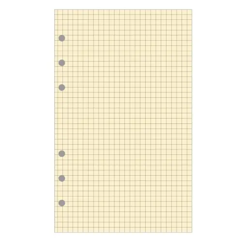 Recharge Exatime 21 bloc quadrillé - EXACOMPTA photo du produit