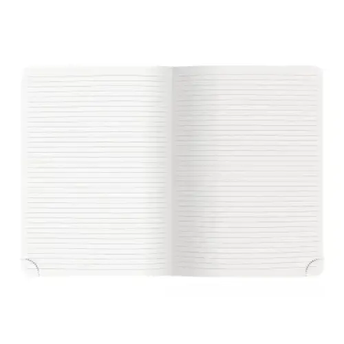 Notebook Mini Labo ligne 15 x 21 Oiseaux - Exacompta photo du produit