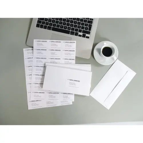 Etiquettes blanches permanentes 22,0x12,7 mm 100 feuilles photo du produit