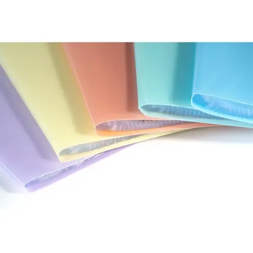Porte-vues A4 100 vues Chrom. Pastel photo du produit