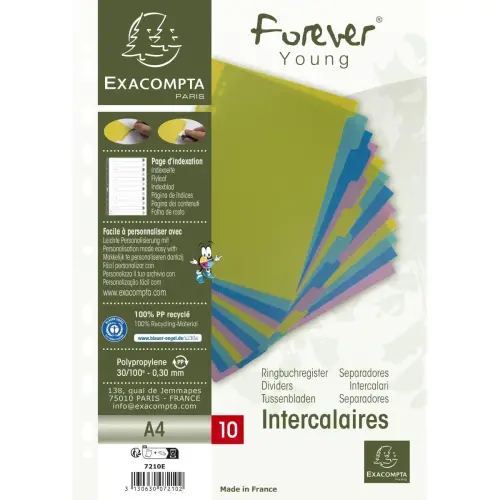 Intercalaires FOREVER YOUNG PP A4 10P photo du produit