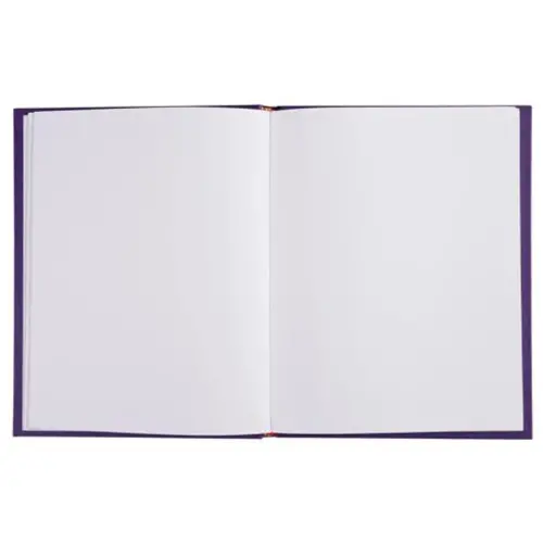 LIVRE D OR    1M.220X170 VIOLET photo du produit