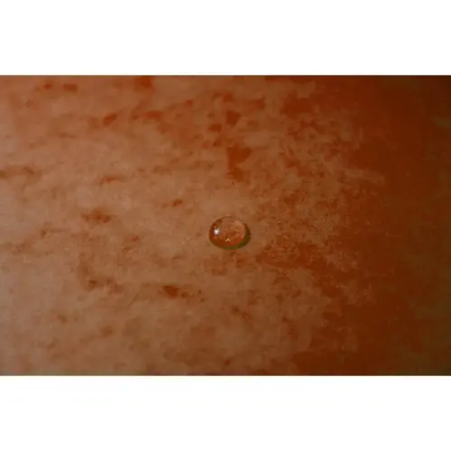 Chem. SSrab+elast.A4 CL 355g imp. Orange photo du produit