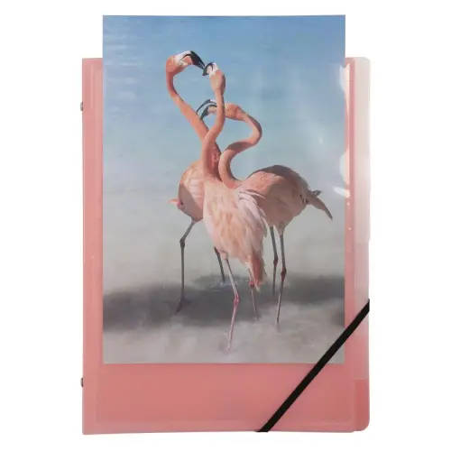 Trieur 8Comp 3 Rab. KREACOVER PASTEL ass photo du produit