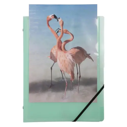 Trieur 8Comp 3 Rab. KREACOVER PASTEL ass photo du produit