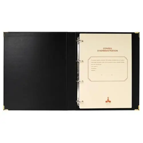 REL.CONSEIL ADM 100FT 90G 2 GDES photo du produit