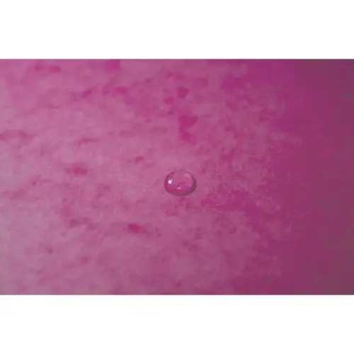 Chem. SSrab+elast. A4 CL 355g imp. Rose photo du produit