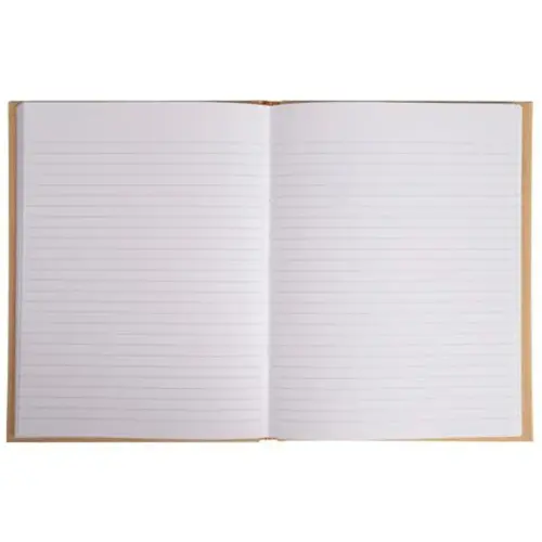 REG NATURE 220x170. 192P LIGNE BEIGE FSC® photo du produit